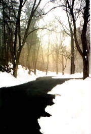 snow.JPG