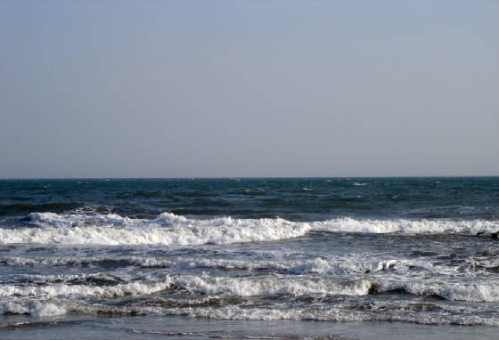 water2.jpg
