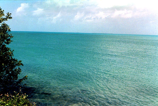 keywest2.jpg